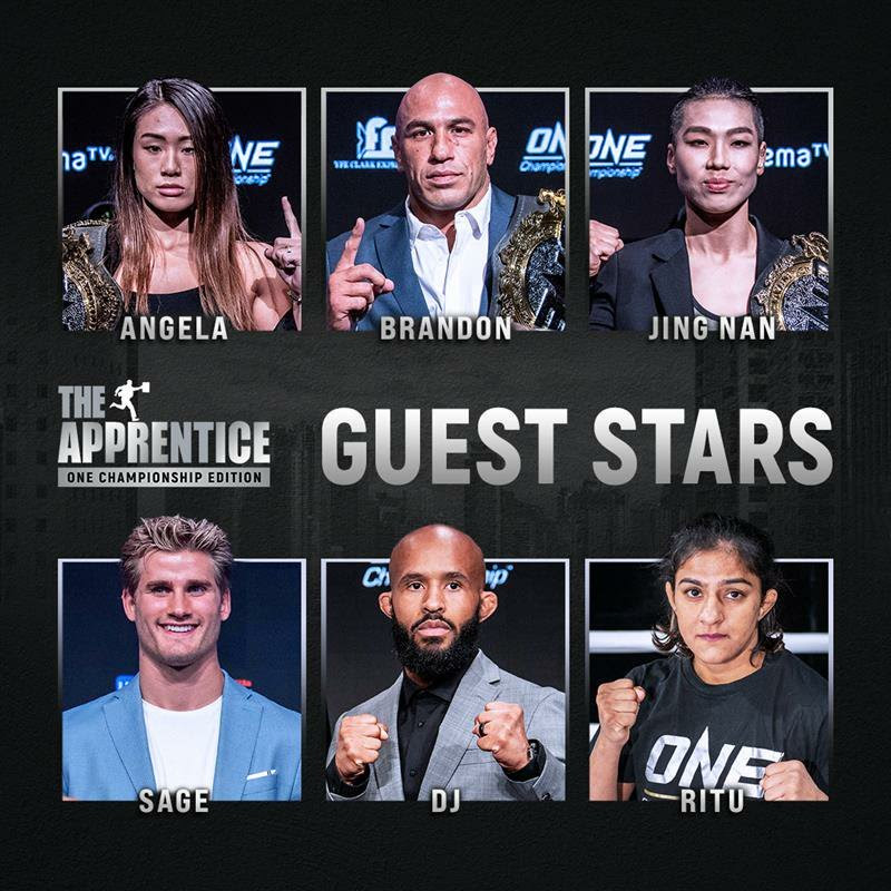one championship apprentice